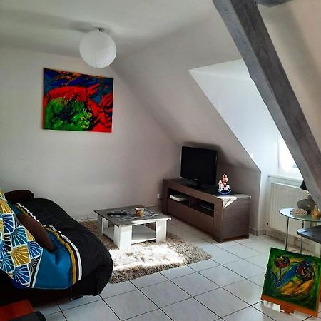 Appartement Spacieux A Ingersheim Avec Vue Sur Jardin 100 M² Екстер'єр фото