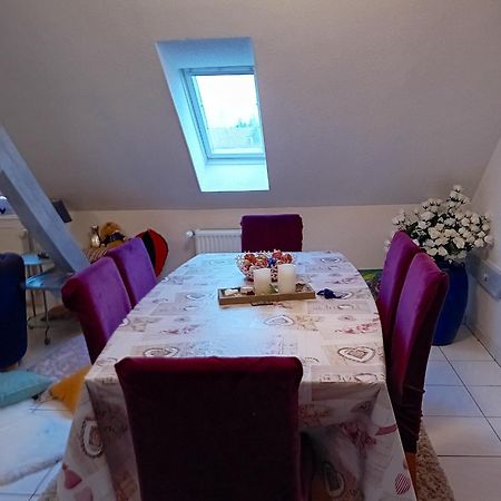 Appartement Spacieux A Ingersheim Avec Vue Sur Jardin 100 M² Екстер'єр фото