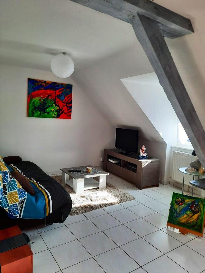 Appartement Spacieux A Ingersheim Avec Vue Sur Jardin 100 M² Екстер'єр фото