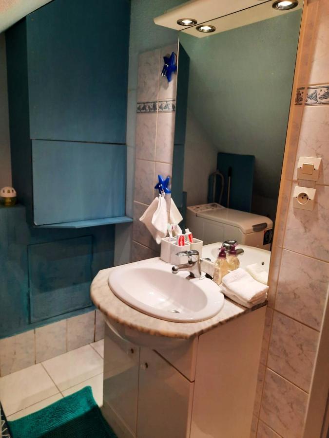 Appartement Spacieux A Ingersheim Avec Vue Sur Jardin 100 M² Екстер'єр фото