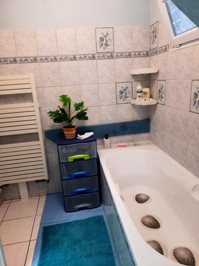 Appartement Spacieux A Ingersheim Avec Vue Sur Jardin 100 M² Екстер'єр фото